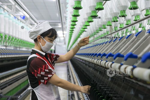 江西瑞昌 數字工廠助力產銷兩旺，針織品及原料批發蓬勃發展