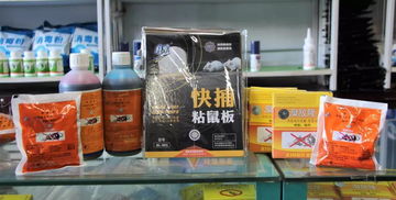 維潔消毒用品經營部給全市人民拜年啦 專業(yè)消毒服務守護萬家安康